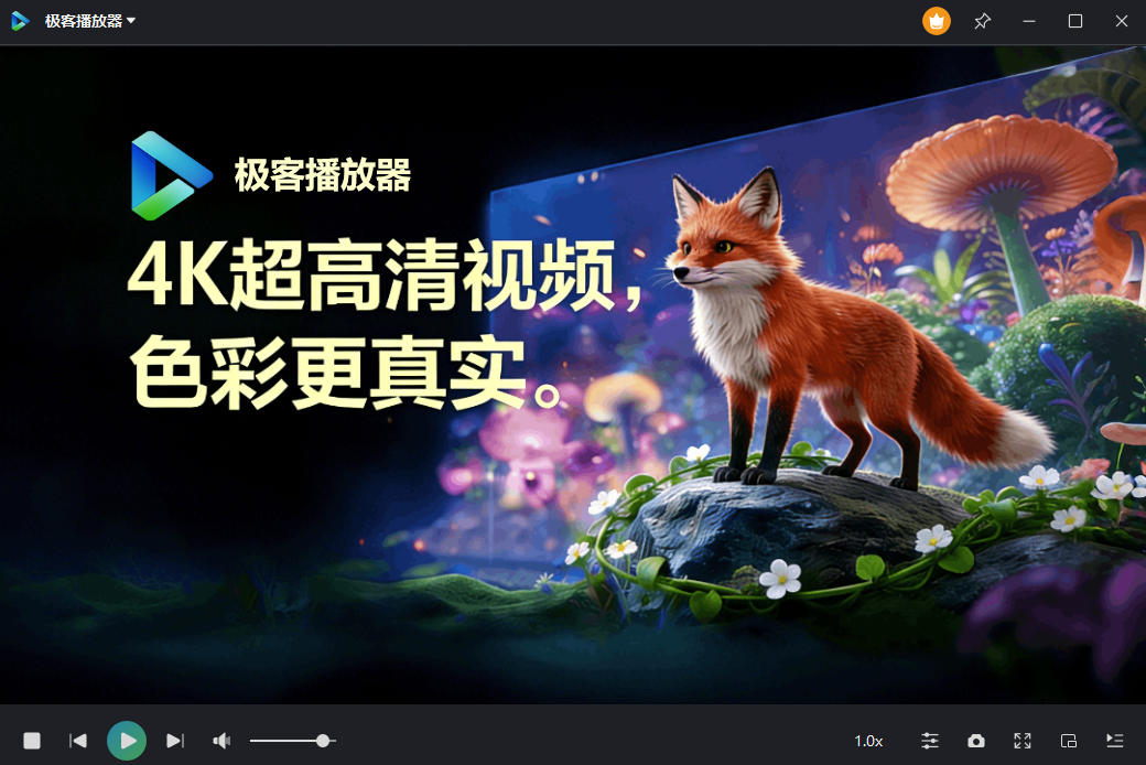 极客播放器软件界面